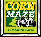 Corn Maze at Marini Farm