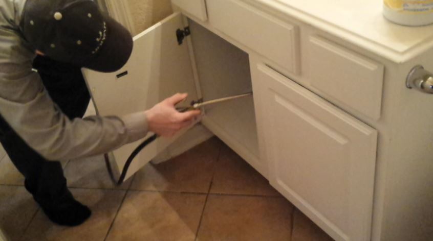 pest removal