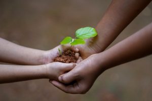 soil